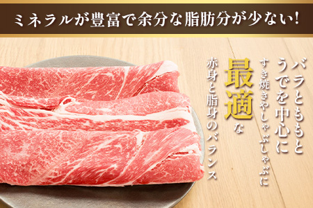 くまもとあか牛 すき焼き・しゃぶしゃぶ用 徳用 500g×2パック 計1kg すき焼き しゃぶしゃぶ あか牛 牛肉 ヘルシー すきしゃぶ 105-0518