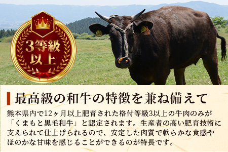 【 A4～ A5 等級 】くまもと黒毛和牛サーロインステーキセット 1kg（ 250ｇ×4枚