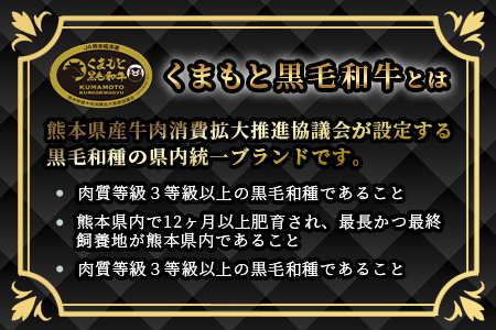 【A4～ A5等級】くまもと黒毛和牛モモステーキ 約500g ( 100ｇ×5P )