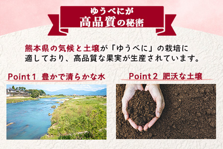 【2026年出荷 先行予約】熊本県産 いちご ゆうべに 2kg (250g×8パック) イチゴ 果物 フルーツ 熊本県 多良木町 農園直送 107-0502