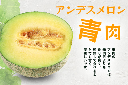 【2026年5月上旬～発送】アンデス メロン 青肉 5玉 (合計 約4.5～5kg) 熊本県 多良木町産 果物 フルーツ メロン 先行予約 5個 青肉 ミツバチ交配 期間限定 数量限定 先行予約 109-0501