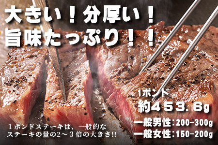 【年内発送】くまもと黒毛和牛 1ポンド ステーキ 約500g《 黒毛 和牛 1 pound ステーキ 500g ブランド牛 上質 常備 冷凍 熊本県 》113-0512-R712