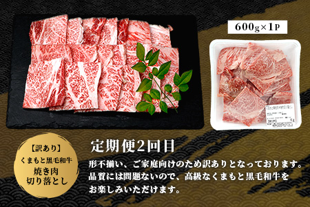 《11月終了》【定期便3回】くまもと黒毛和牛味わい定期便～合計1.8kg 《 黒毛 和牛 ロース 赤身 スライス 焼肉 》 焼き肉 すき焼き 霜降り 上質 ブランド牛 国産 牛肉 冷凍 熊本県