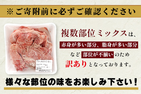 《12月終了》《R8.2～3月発送 限定 増量 》くまもと黒毛和牛 切り落とし 1kg + DREAMバーグ 150g×3個 【合計1450g】 切り落とし 1キロ + 牛肉 100％ 国産 生 ハンバーグ ブランド牛 上質 和牛 霜降り お得 限定品 惣菜 冷凍 熊本県 113-0530