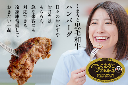 《12月終了》くまもと黒毛和牛  DREAMバーグ 100g×10個 【計1kg】 生 ハンバーグ 牛肉 100％ ブランド牛 黒毛 和牛 お弁当 熊本 上質 肉 惣菜 冷凍 小分け 熊本県 113-0540