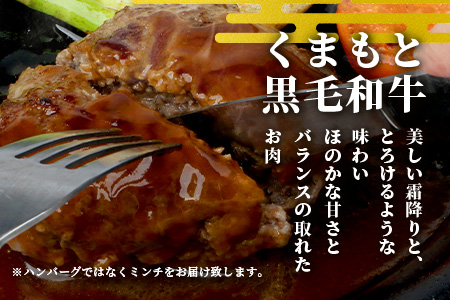 【大容量】熊本県産 黒毛和牛 ミンチ 1.5kg (500g×3) 本場 熊本県 黒毛 和牛 国産 牛肉 ミンチ肉 挽肉 ひき肉挽き肉 ブランド 牛 肉 上質 ハンバーグ 9000円 113-0546 1.5kg