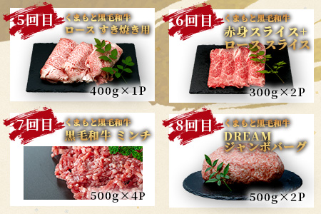 【定期便12回】くまもと 黒毛和牛 を味わい尽くす！1年12回配送 定期便 【合計 9.06kg】本場 熊本 黒毛 和牛 ブランド 牛 肉 すき焼き 焼肉 しゃぶしゃぶ ハンバーグ ステーキ ローストビーフ 上質 熊本 113-0550