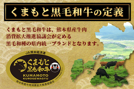 【訳あり】くまもと黒毛和牛 切り落とし 600g 本場 熊本県 黒毛 和牛 ブランド 牛 肉 上質 くまもと 訳アリ 113-0552 600g