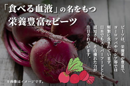 あさぎり農園 ビーツ 満喫セット ( パスタ / 炊き込みご飯 / ピラフ / スムージー ) スーパーフード ビーツ 美容 健康 熊本産 国産 びーつ トマト ピラフ パスタ スムージー 乳酸菌 腸活 くまモン 115-0604