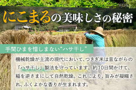 【令和7年産 玄米 】10月上旬～発送 にこまる 「つきぎ米」 玄米 30kg 玄米 ハサ干し米 多良木町 たらぎ 槻木 新米 お米 米 熊本県 30キロ