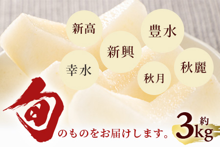 【2026年8月中旬～10月発送分】 多良木町産 豊永の 梨 約3kg フルーツ 果物 梨 旬 070-0593