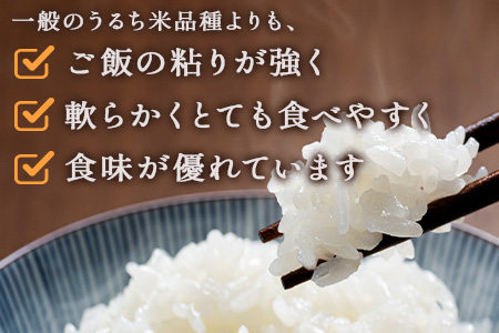 【R6年産米 定期便2回】多良木町産 『ぴかまる』 10kg(5kg×2)×2回 【計 20kg 】 定期便 定期配送 精米 お米 米 艶 粘り 甘み うま味 もちもち 熊本のお米 20キロ 熊本県 多良木町 044-0592