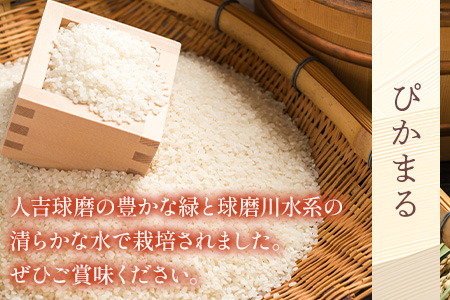 【令和6年産 米 】食べ比べ 多良木町産 『くまさんの輝き』 (5kg×2袋) ＋『ぴかまる』 (5kg×2袋) 【合計 20kg 】 お米の食べくらべ お米2品種 セット 熊本県 たらぎ お米 米 艶 粘り 甘み うま味 もちもち 熊本のお米 044-0596