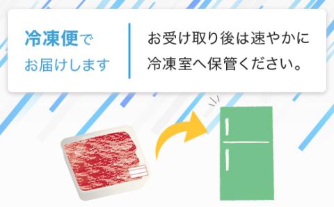 【数量限定】熊本県産 馬肉 サガリ(ヒモ肉) カルビ 焼肉用 300g 本場 ヘルシー 馬肉 赤身 030-0705