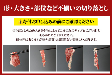 【定期便6回】熊本あか牛 切り落とし 計6Kg (500g×2)×6回 国産 牛肉 冷凍 熊本 熊本県産 あか牛 赤牛 切り落とし 041-0138