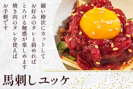 【定期便3回】赤身 馬刺し ブロック 計600g (100g×2)×3回 冷凍真空パック【 熊本県 多良木町 たらぎ 馬肉 馬刺し 冷凍 真空 熊本肥育 】 041-0141