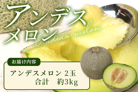 【2025年5月上旬以降発送分 先行予約】熊本県産 アンデスメロン 2玉 計約3kg  特大 果物 フルーツ 旬 ネット メロン 熊本県 多良木町 農家直送
