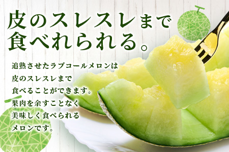 【2026年分 予約】先行予約 「旭メロン (品種：ラブコールメロン）」2玉 (合計約3.5kg以上) 2026年6月中旬～発送開始【 ごほうび めろん 青肉 メロン 大玉 たっぷり 果汁 果物 フルーツ ギフト 】