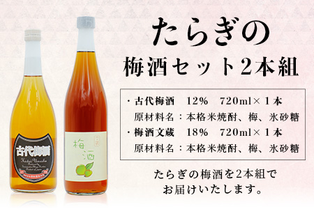 【最短翌々日〜5営業日以内発送】たらぎの 梅酒 セット 720ml × 2本 ≪古代梅酒≫≪ 梅酒文蔵≫ 球磨焼酎 多良木町 米 焼酎 梅 うめ酒 お酒 球磨 贈り物 ギフト 熊本県 多良木町 015-0689