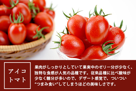 【先行受付】【2026年3月上旬発送開始】冬越ミニトマト「アイコ赤」約2.5kg 産地直送 020-0531