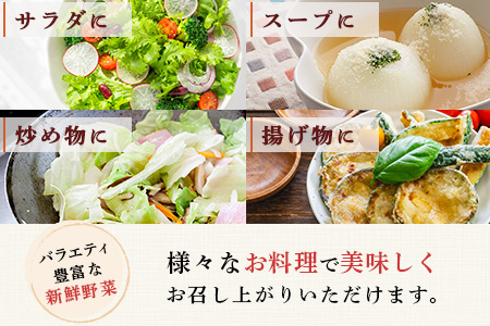 熊本の大地の恵み 旬の こだわり野菜詰め合わせセット 8〜12品 （3〜4名様向け）野菜 獲れたて 新鮮 野菜 セット 詰め合わせ 詰合せ 産地 直送 国産 季節 野菜 家族 ファミリー 多良木町 024-0809