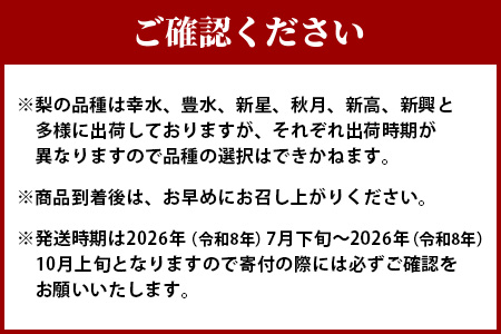 【2026年7月下旬～順次発送】東光寺 梨 4kg (8～15玉) 1箱 先行予約 完熟 フルーツ 果物 夏 旬 幸水 豊水 秋月 新高 新興 東光寺梨