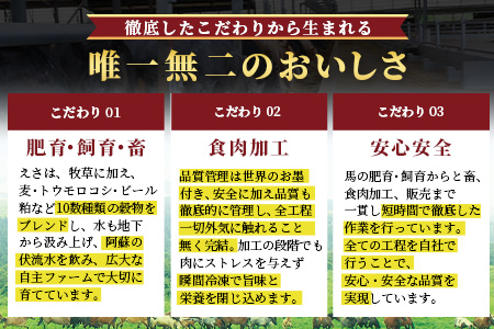 【年末配送】馬刺し 部位 堪能7種 食べ比べ ブロック 約540g 霜降り ユッケ 年内発送 年内配送 年末年始