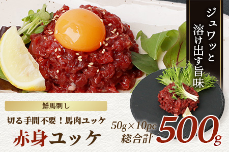 【年末発送】 鮮 馬刺し 赤身ユッケ 10個 セット 約500g 熊本 千興ファーム 菅乃屋 すがのや 馬刺し ばさし 馬肉 50g×10 お手軽 冷凍 小分け 赤身 国産 ユッケ 熊本 年内発送 年内配送 年末年始 031-0496-R712