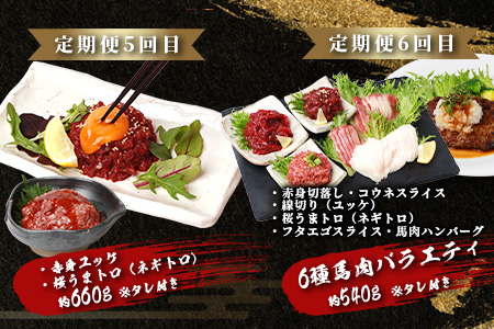 【定期便6回】馬肉づくし 「 馬刺し・お惣菜 定期便 」6回配送 本場 熊本県 馬さし 定期便 千興ファーム SQF 認証 安心安全 馬肉 ユッケ ハンバーグ カレー 新鮮 冷凍 ミシュラン 生食用 肉 菅乃屋 熊本