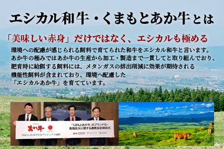 【エシカル和牛】くまもとあか牛【あか牛の極み】モモ焼肉 200g×3 (計 600g) モモ 赤身 熊本 あか牛 牛肉 小分け 焼肉 焼き肉 やきにく BBQ バーベキュー 和牛 国産 SDGs 033-0512 通常発送