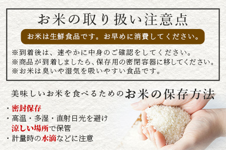 【令和7年度産 新米】球磨産 くまさんの輝き 精米 2kg 白米 お米 熊本県 多良木町 036-0201 2kg