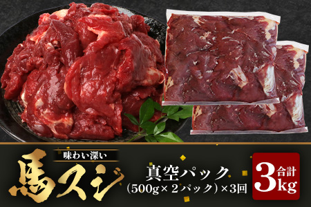 【 定期便 3回 】 熊本県 馬スジ 1㎏（ 500g×2 ） × 3回 【 合計 3kg 】 【 馬肉 すじ肉 大容量 本場 熊本県 馬 赤身 煮込み カレー シチュー 冷凍 真空 熊本 肥育 ヘルシー 赤身 肉 高栄養 肉 】 041-0158
