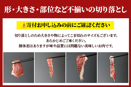 【定期便12回】熊本あか牛 切り落とし 1kg (500g×2)×12回 【 合計 12Kg 】 国産 牛肉 冷凍 熊本 熊本県産 あか牛 赤牛 切り落とし 041-0164