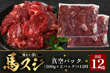 【 定期便 12回 】 熊本県 馬スジ 1㎏（ 500g×2 ） × 12回 【 合計 12kg 】 【 馬肉 すじ肉 大容量 本場 熊本県 馬 赤身 煮込み カレー シチュー 冷凍 真空 熊本 肥育 ヘルシー 赤身 肉 高栄養 肉 】 041-0169