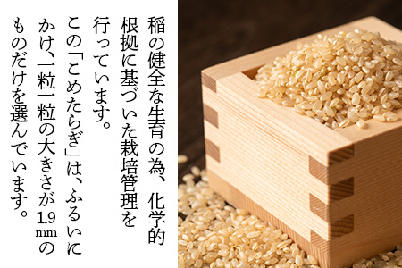 【 令和7年産 玄米 】受賞米 こめたらぎ にこまる 玄米 30kg グランプリ受賞 米 お米 農家 自然 豊か 熊本県 米どころ 多良木町 044-0509-a