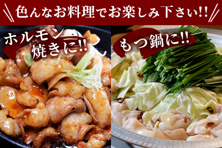 熊本県産 あか牛 ミックス ホルモン 1kg（500g×2パック） もつ鍋 焼肉 ホルモン 焼き BBQ 熊本県 あか牛 牛肉 046-0644