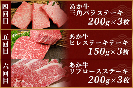 【定期便 6回】あか牛 ステーキ 食べ比べ！ 6回配送 ステーキ 定期便 熊本県産 ≪ サーロイン ミスジ ランプ 三角バラ ヒレ リブ ロース ≫ ステーキ 和牛 あか牛 牛肉 赤身 肉 定期 和牛 国産 ご褒美 定期便 6カ月 046-0676