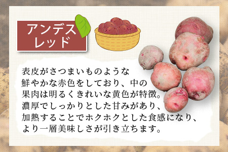 大森さんの じゃがいも 食べ比べセット 約5kg メークイン ／アンデス 熊本県 多良木町産 ジャガイモ じゃが芋 野菜 ポテト 数量限定 065-0701