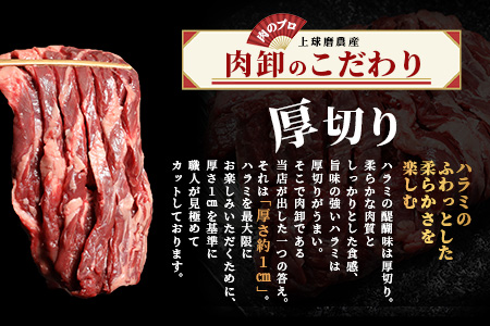 【厚切り】牛 ハラミステーキ【1㎏】500ｇ×2 ※12月寄附限定 タン先炭火焼付※ 焼肉 ハラミ 焼き肉 はらみ 塩味 牛肉 肉 冷凍 小分け パック キャンプ バーベキュー 067-0671
