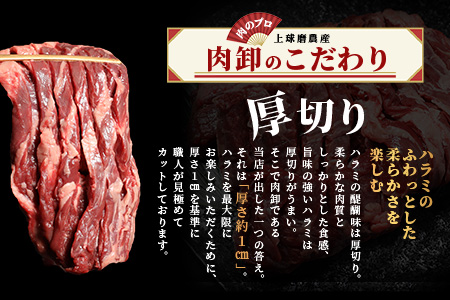 ※12月寄附限定 タン先炭火焼付※厚切り 牛 ハラミ ステーキ 500g 焼肉 軟化加工 塩味 牛肉 BBQ 冷凍 小分け おまけ 067-0678
