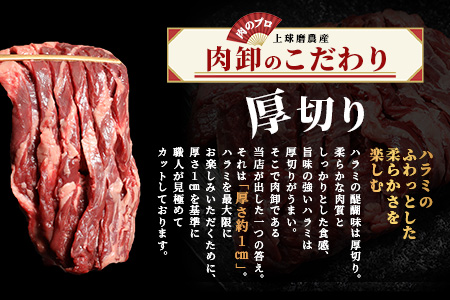 ※12月寄附限定 タン先炭火焼付※【厚切り】牛 ハラミステーキ【2㎏】500ｇ×4 焼肉 ハラミ 焼き肉 はらみ 塩味 牛肉 肉 冷凍 小分け パック キャンプ バーベキュー 067-0680
