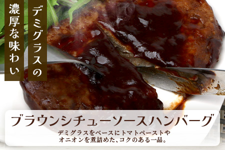 温めるだけ！ レンチン バーグ ≪ホワイトソース・ブラウンシチューソース≫ 合計10個 ハンバーグ 湯煎 レンジ 簡単 大容量 レトルト ハンバーグ ホワイト デミグラス 2種 セット スパイス 簡単 冷凍 レンジ 湯せん 個包装 067-0710 ホワイト・ブラウンシチューソースセット計10個