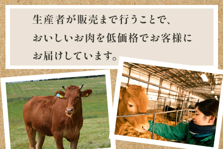 くまもとあか牛 切り落とし 約800g ＜約400g×2p＞ 冷凍 牛肉 和牛 国産牛 073-0408