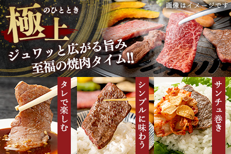 【GI認証】くまもと あか牛 肩 焼肉 用 約500g ＜約250g×2p＞ 冷凍 小分け ヘルシー あか牛 焼き肉 やき肉 肩ロース 牛肉 和牛 国産牛 赤身 073-0412