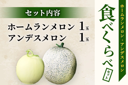 【2026年5月上旬～次発送・先行予約】熊本県産 ホームランメロン アンデスメロン 食べ比べ 計2玉 約2.5kg以上 メロン フルーツ 果物 083-0625 計2玉 約2.5kg
