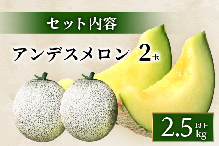 【2026年5月上旬～発送・先行予約】熊本県産 アンデスメロン 2玉 約2.5kg以上 【 ご予約 令和7年 先行 メロン フルーツ 果物 熊本 多良木 たらぎ 】083-0697 2玉 2.5kg以上