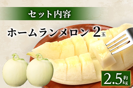 【2026年5月上旬発送開始】【先行予約】熊本県産 ホームランメロン 2玉 約2.5kg以上 令和7年 ご予約 メロン フルーツ 果物 熊本 多良木 083-0699