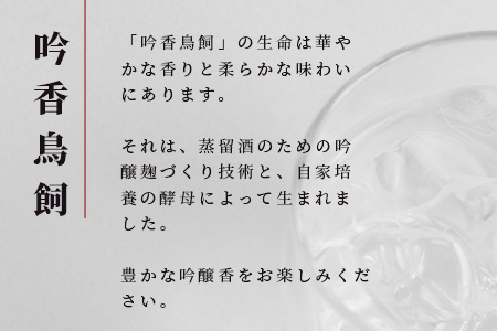 【米焼酎】吟香 鳥飼 25度 720ml 12本 セット 合計 8640ml 熊本県 米焼酎 球磨焼酎 吟香 鳥飼 お酒 焼酎 酒 蒸留酒 吟醸麹 芳醇 逸品 720ml 25度 084-0649