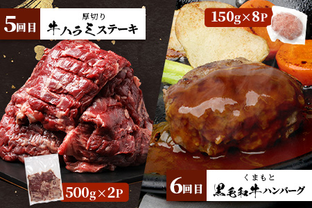 【定期便6回】 1kg×6種！ くまもと ビーフ 満喫 お楽しみ定期便【合計6kg】 熊本 あか牛1kg/牛タン 1kg/黒毛和牛 モモステーキ 1kg/あか牛スジ/ハラミ/黒毛和牛ハンバーグ 和牛 ブランド牛 タン バラエティ 定期便 熊本県産