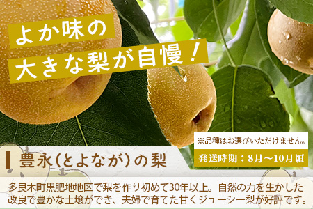 【フルーツ 定期便 3回】2026年発送分 メロン・桃・梨 旬 3回配送 数量限定 肥後グリーンメロン 球磨の桃 豊永の梨 フルーツ 果物 名産 熊本 多良木町